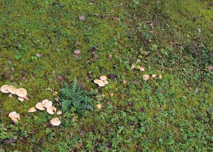 Casa vacanze Haus Haase